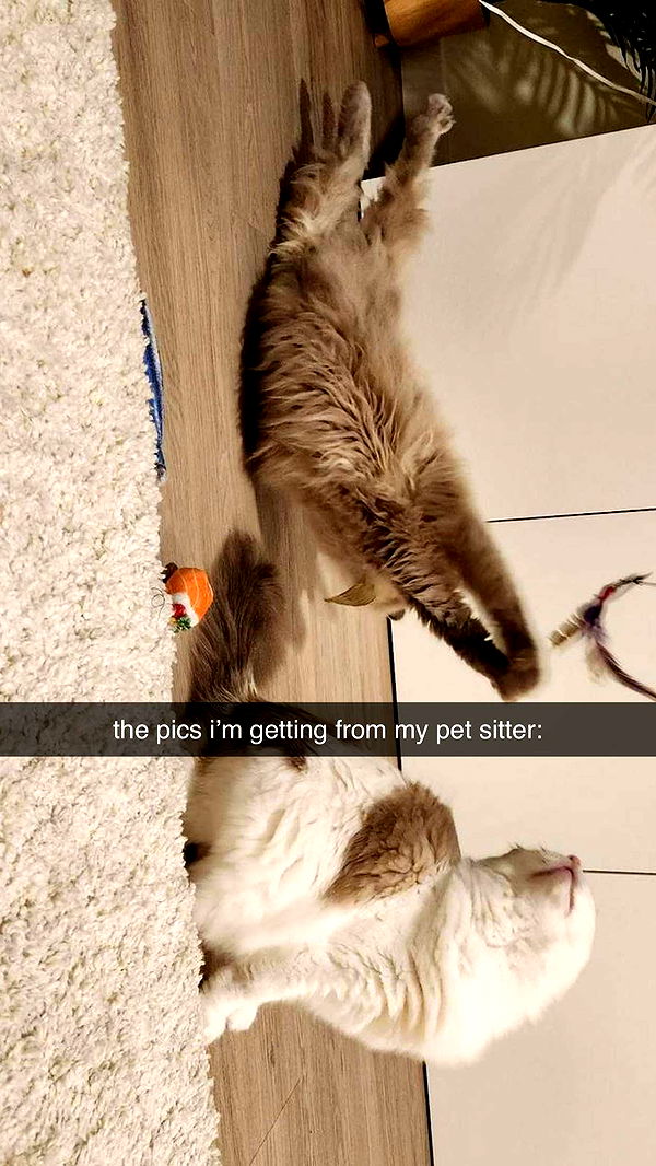 keab01 image ~ Altpins