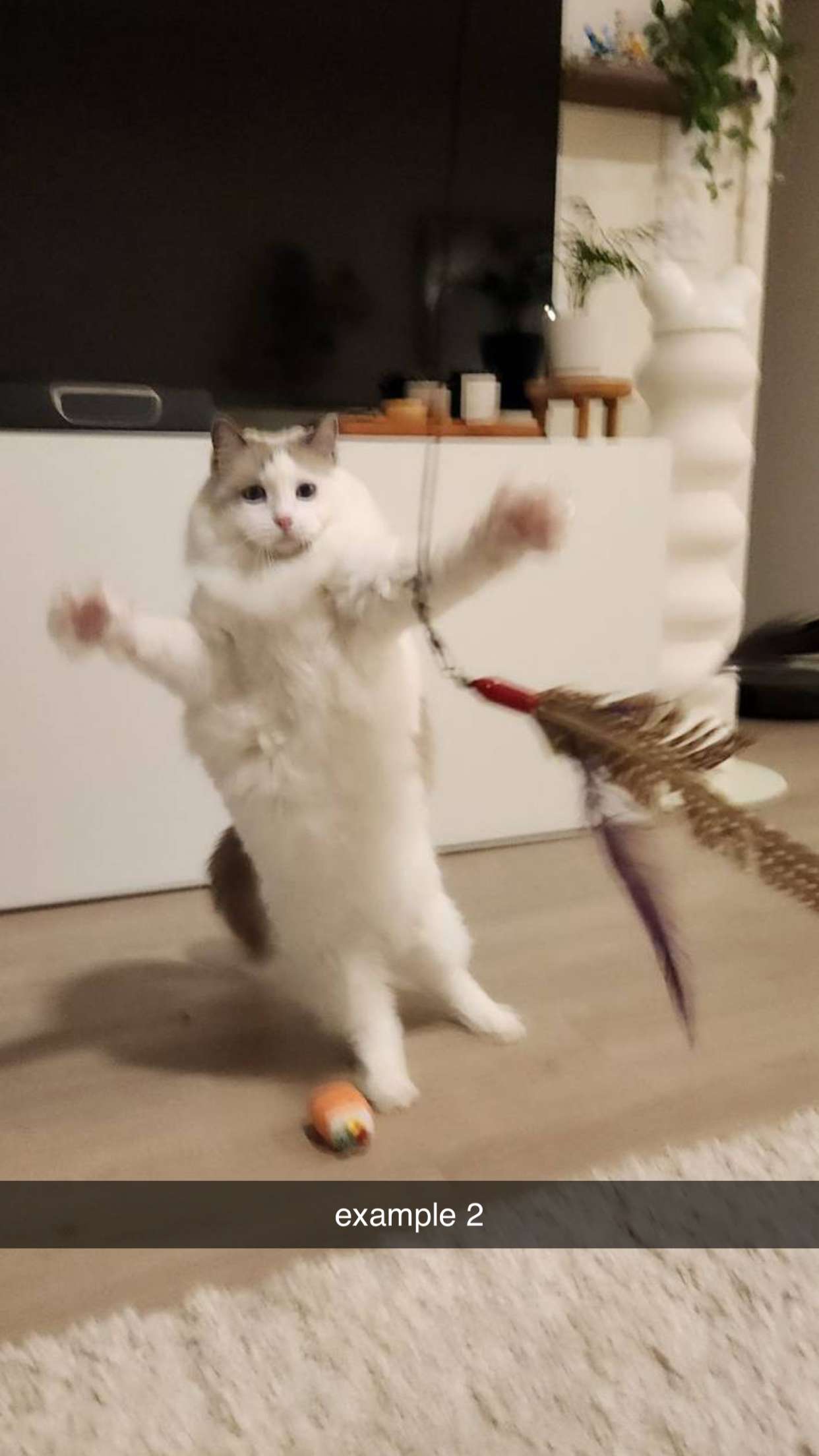 keab01 snapchat image archive image