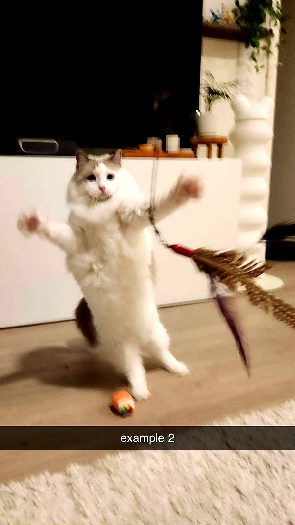 keab01 image ~ Altpins