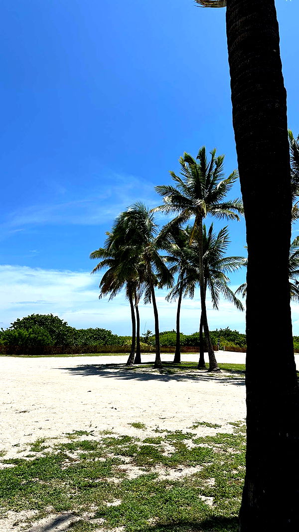 keab01 image ~ Altpins