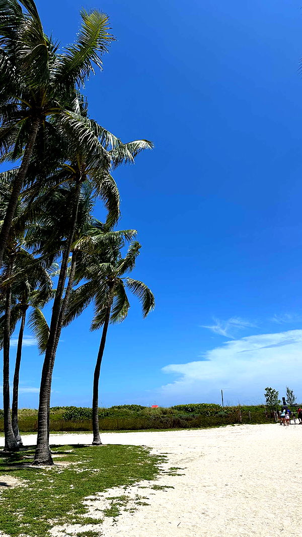 keab01 image ~ Altpins