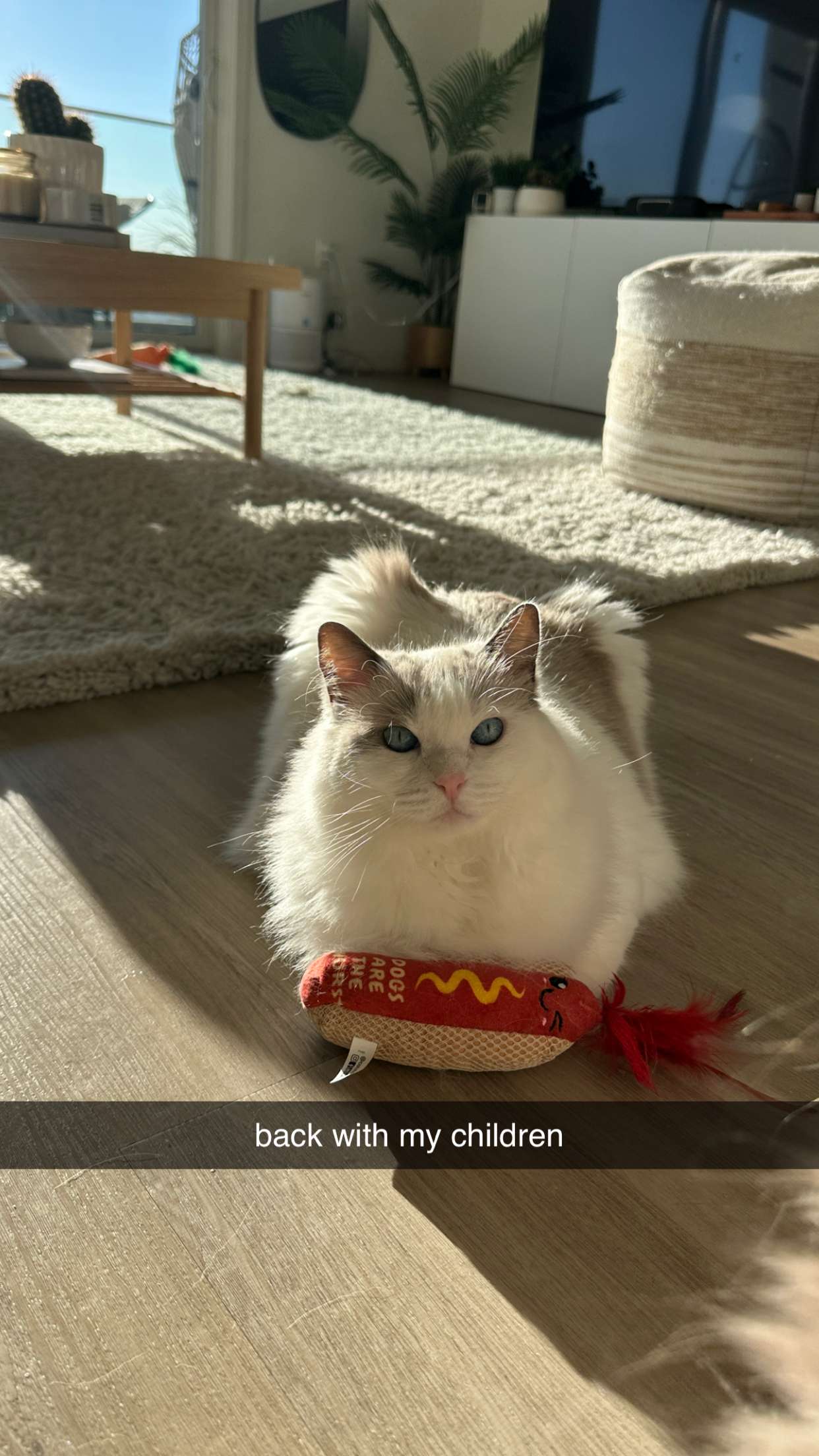 keab01 snapchat image archive image