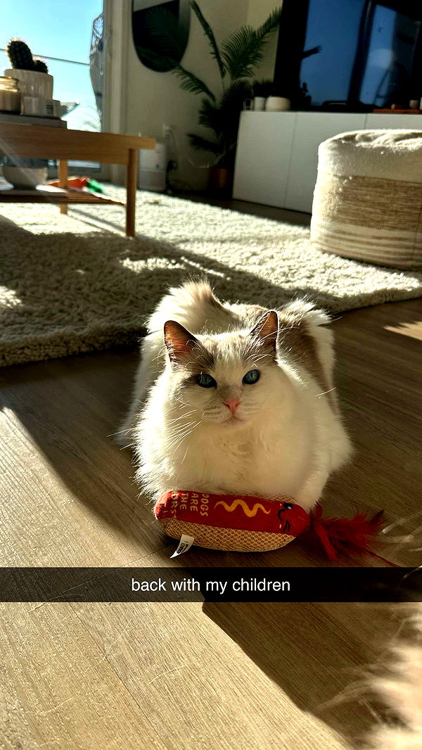 keab01 image ~ Altpins