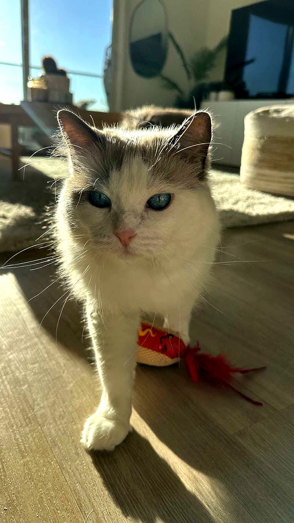 keab01 image ~ Altpins