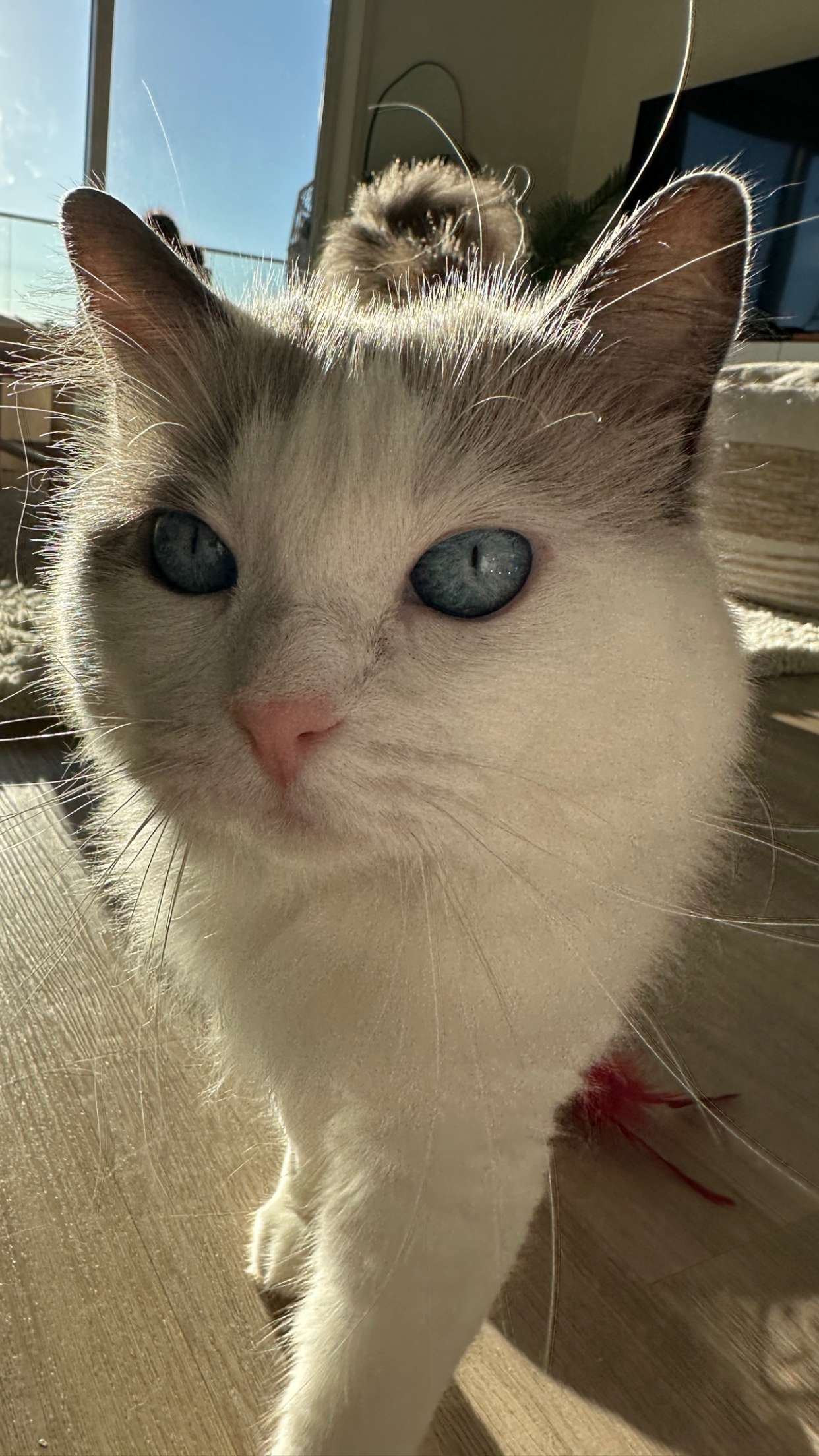 keab01 snapchat image archive image