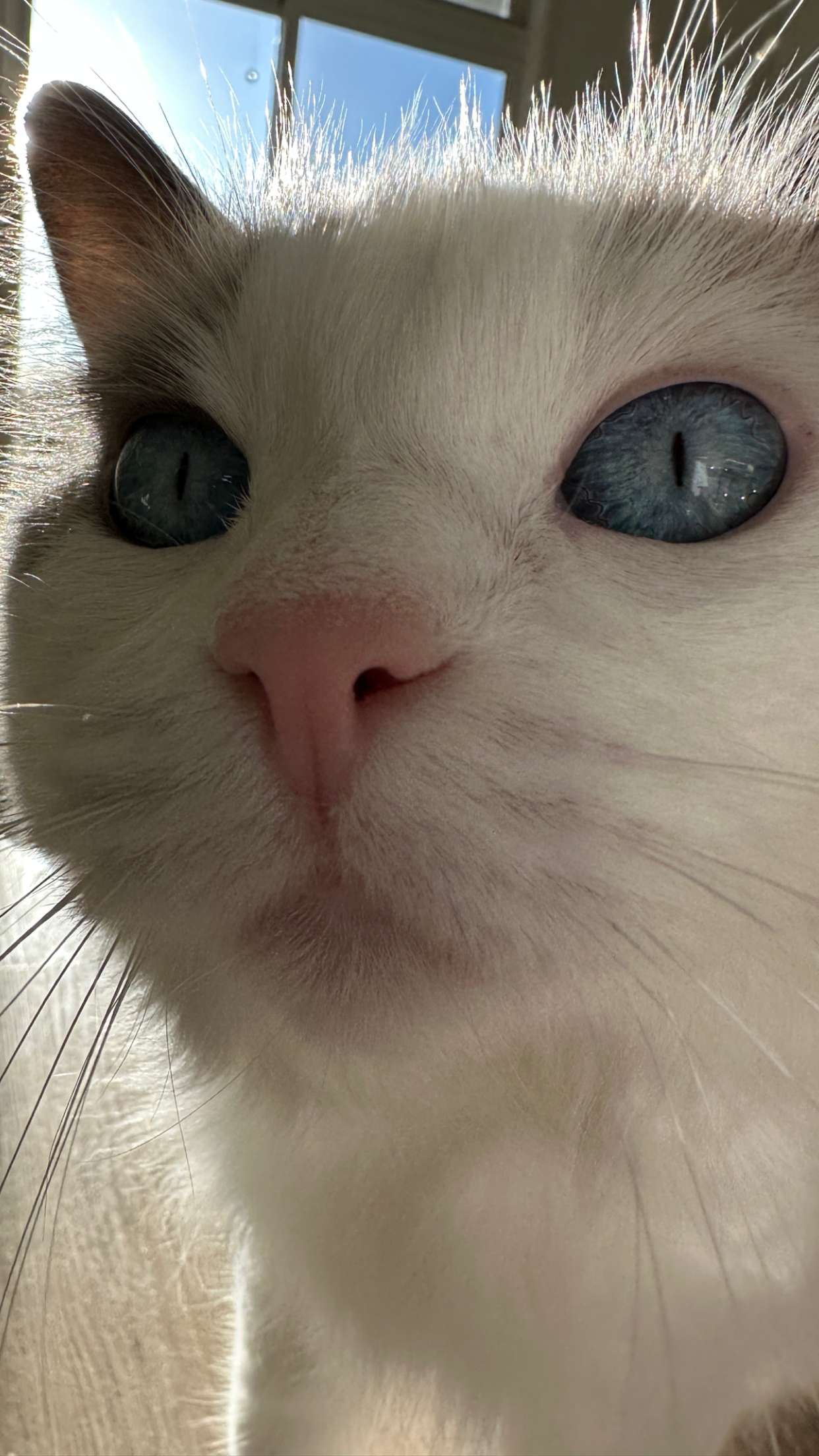 keab01 snapchat image archive image