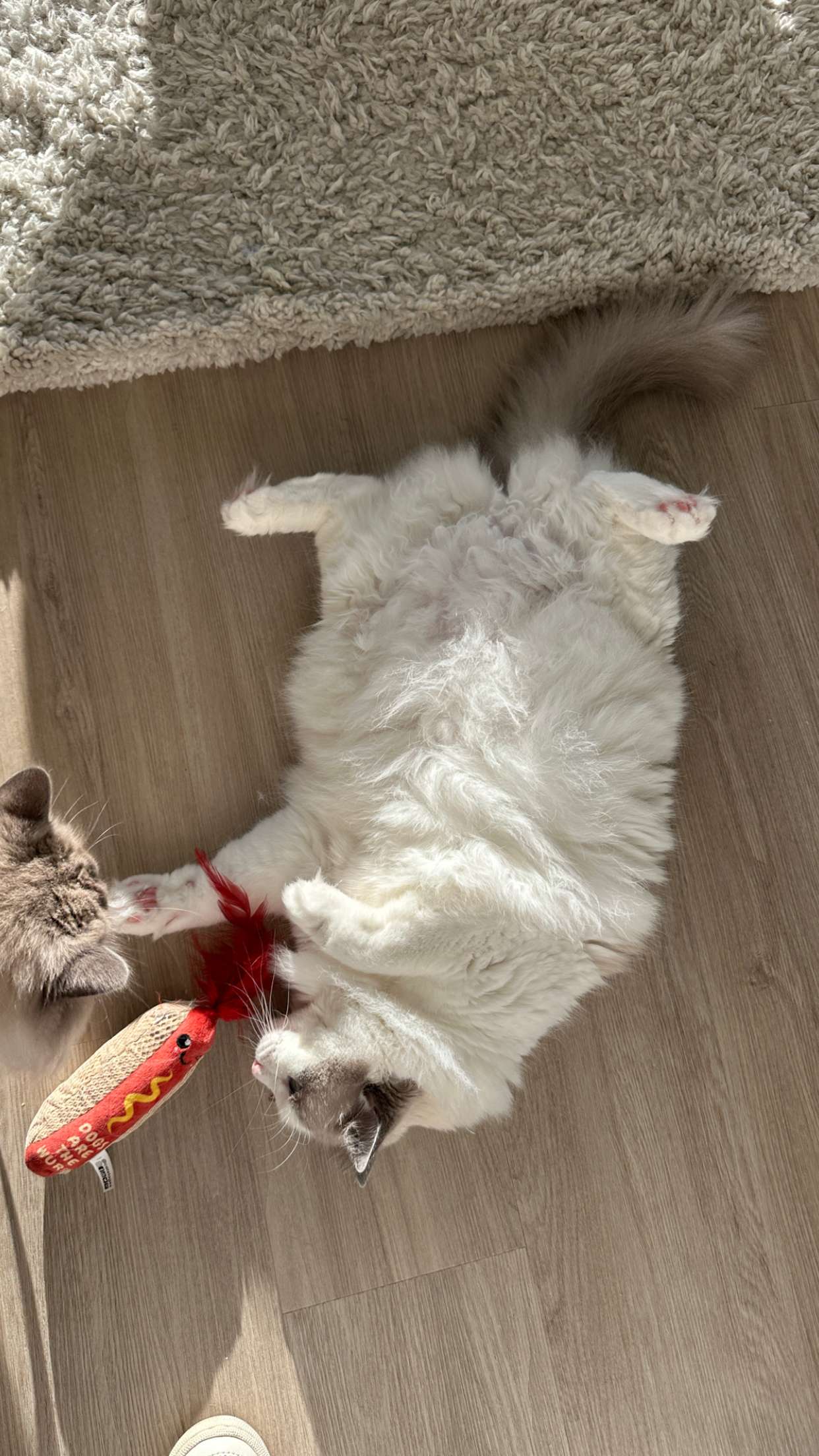 keab01 snapchat image archive image