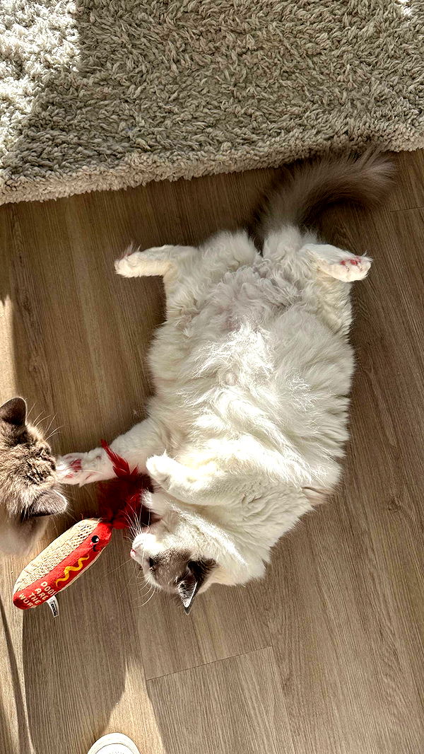 keab01 image ~ Altpins