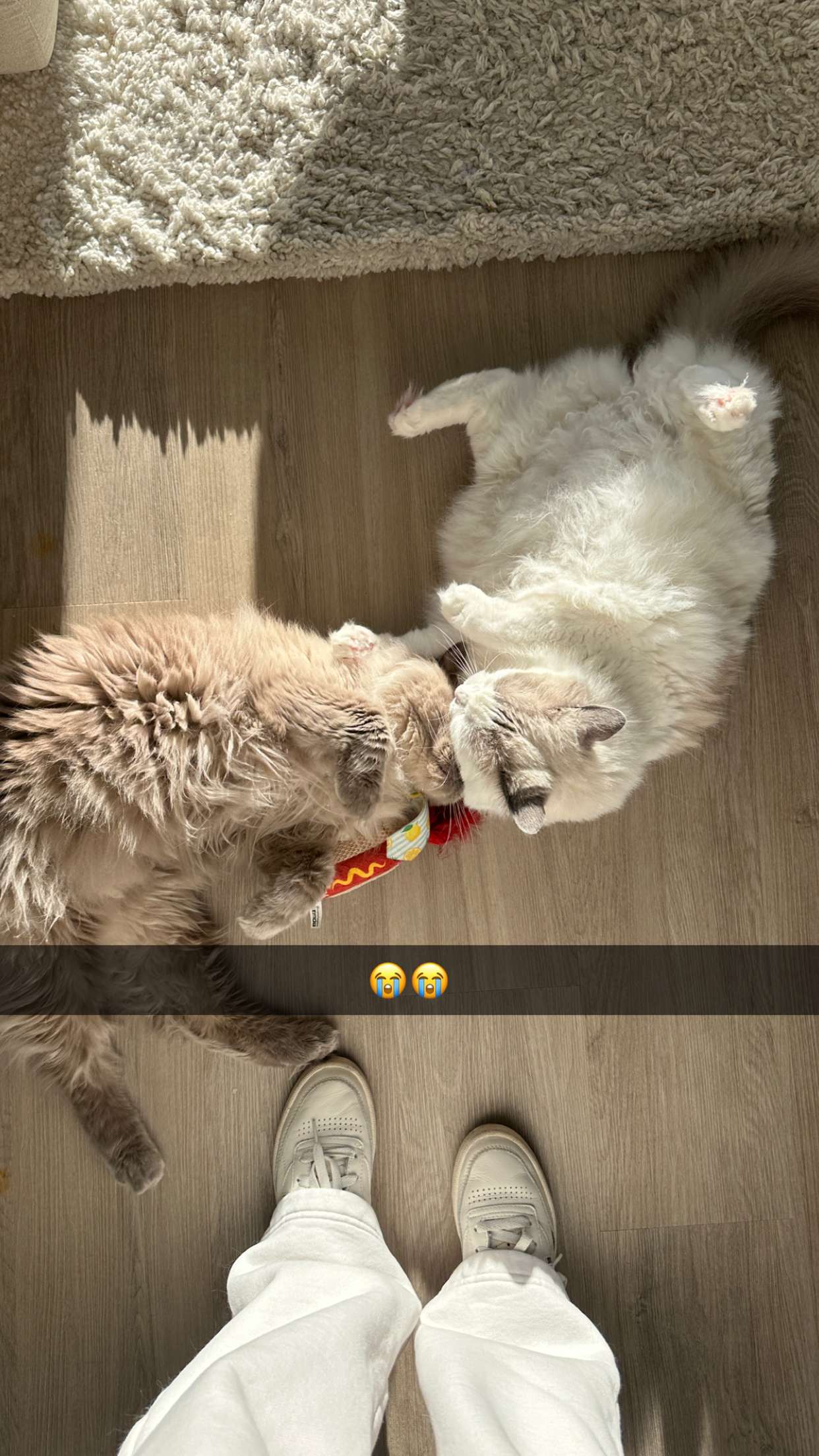 keab01 snapchat image archive image