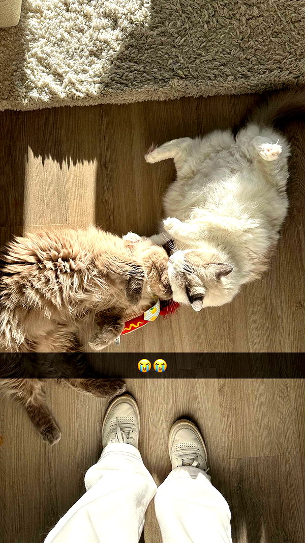 keab01 image ~ Altpins