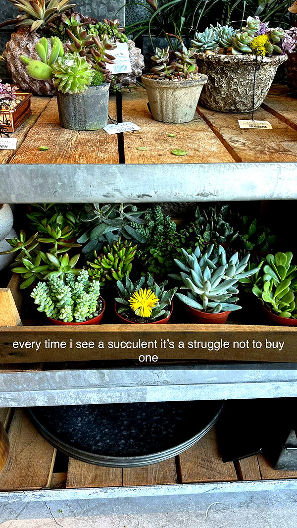 keab01 image ~ Altpins