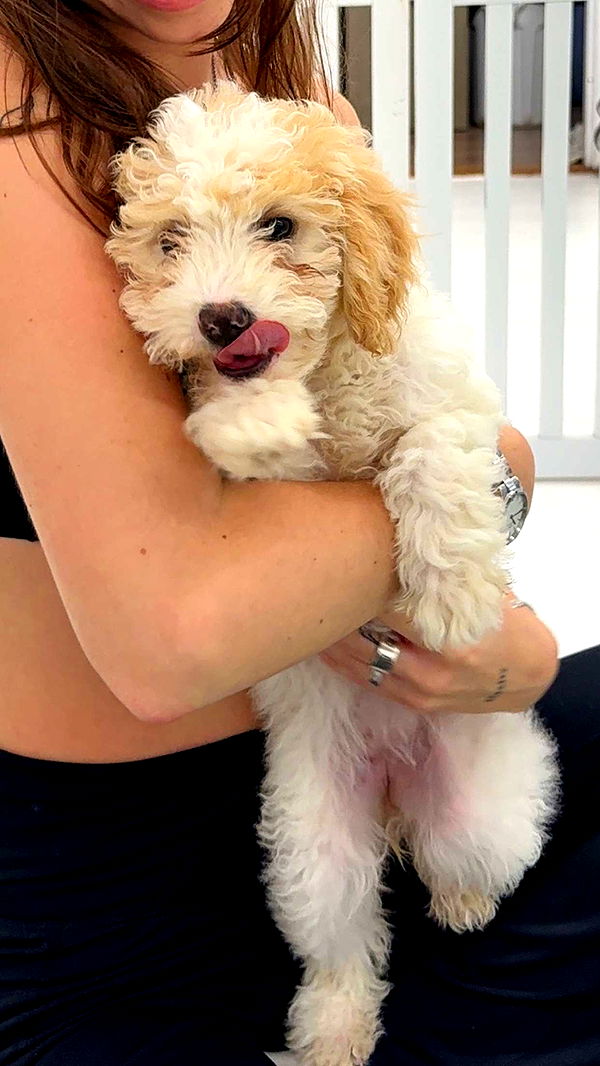 keab01 image ~ Altpins