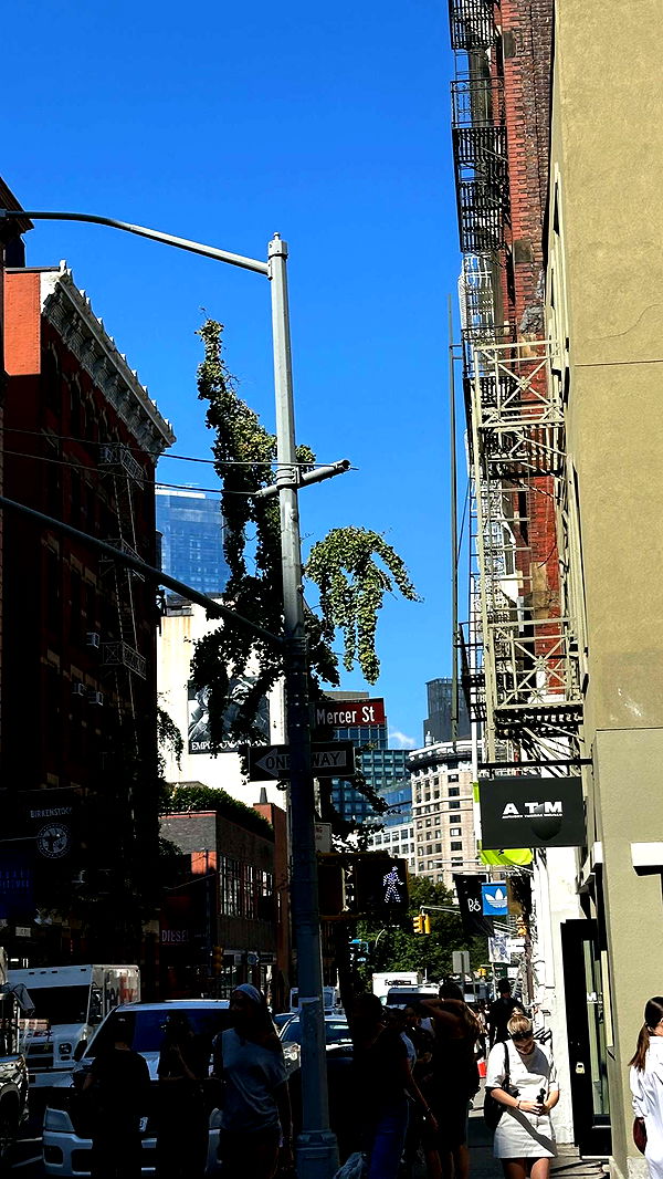 keab01 image ~ Altpins