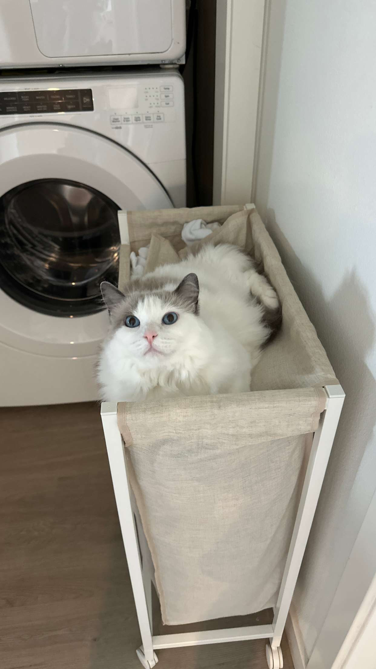 keab01 snapchat image archive image