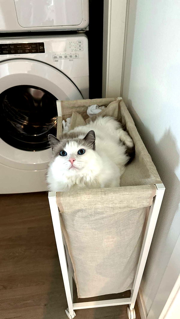 keab01 image ~ Altpins