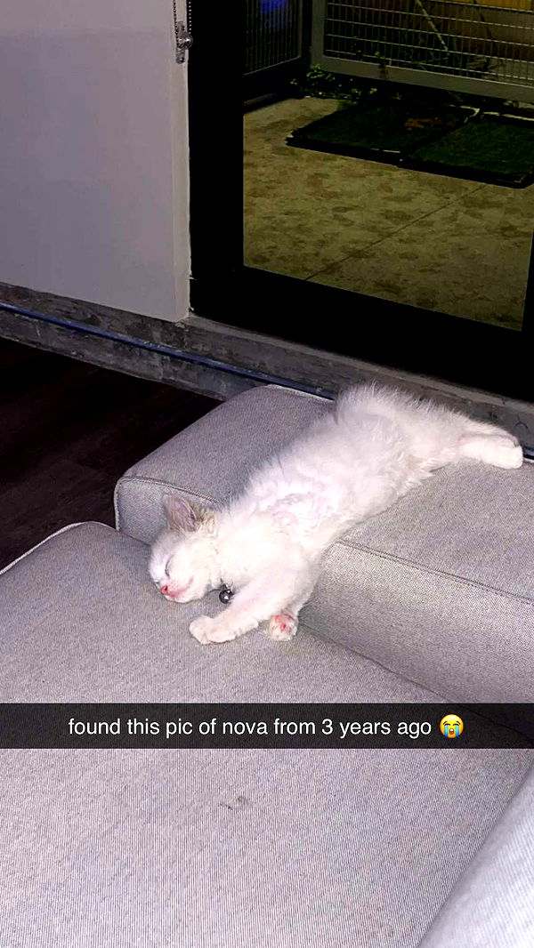 keab01 image ~ Altpins