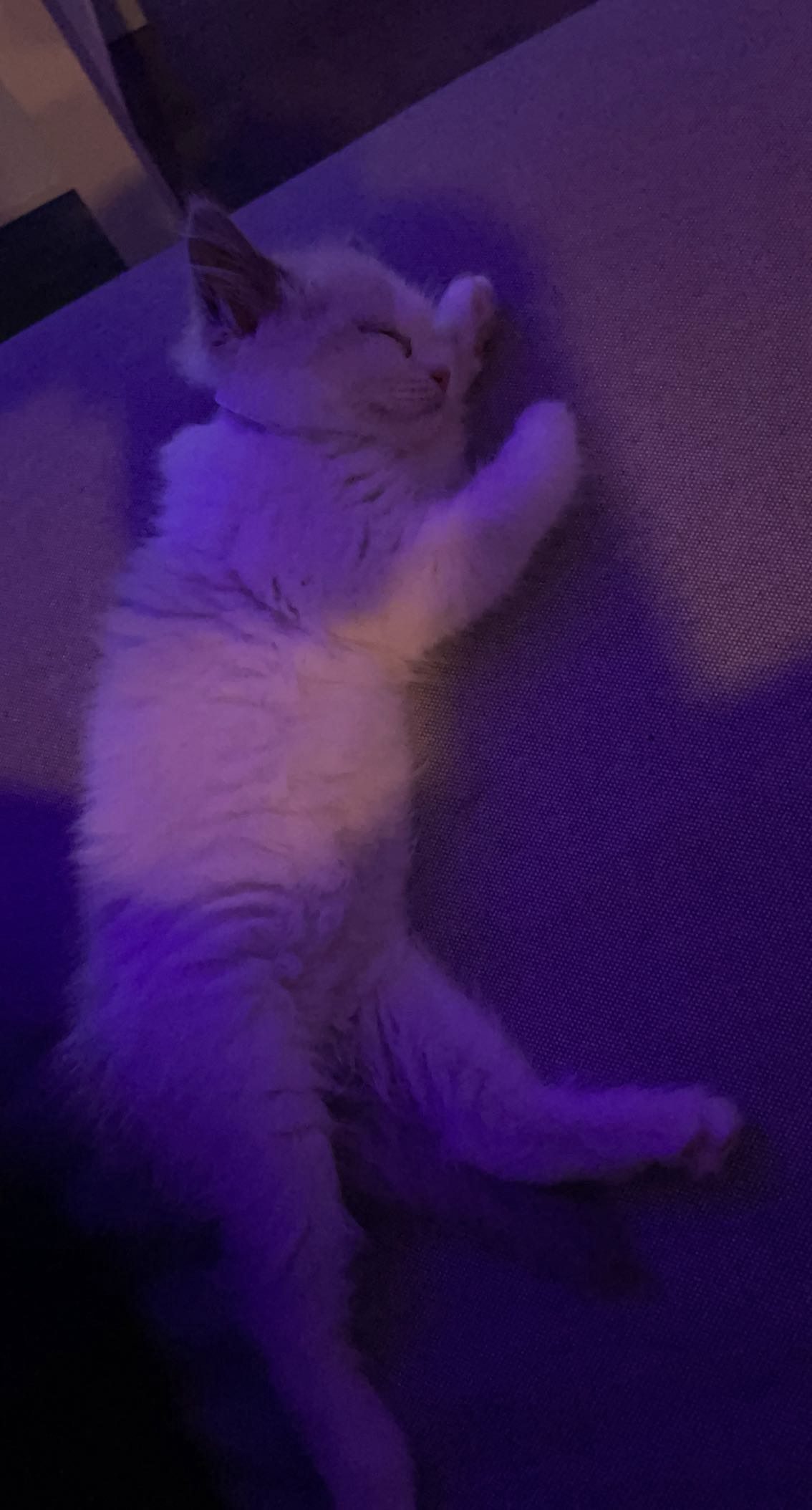 keab01 snapchat image archive image