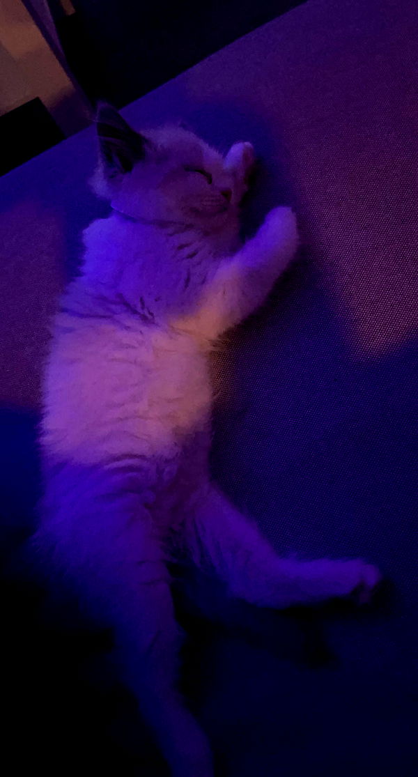 keab01 image ~ Altpins