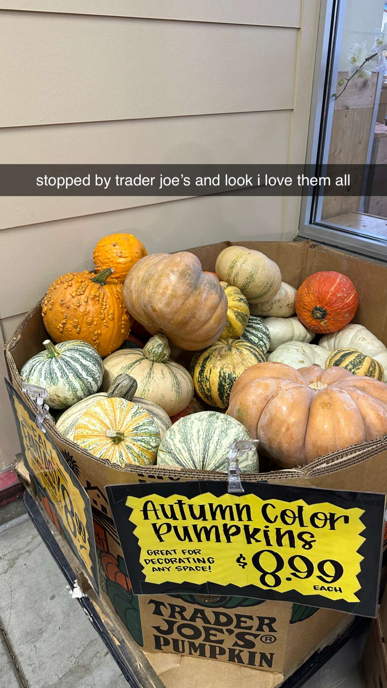 keab01 snapchat image archive image