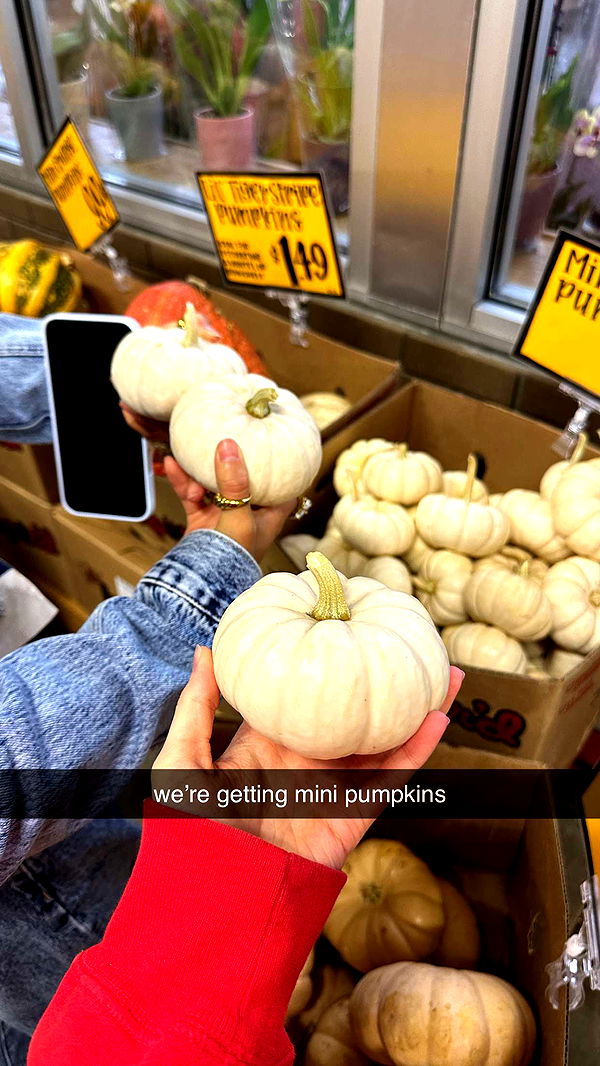 keab01 image ~ Altpins