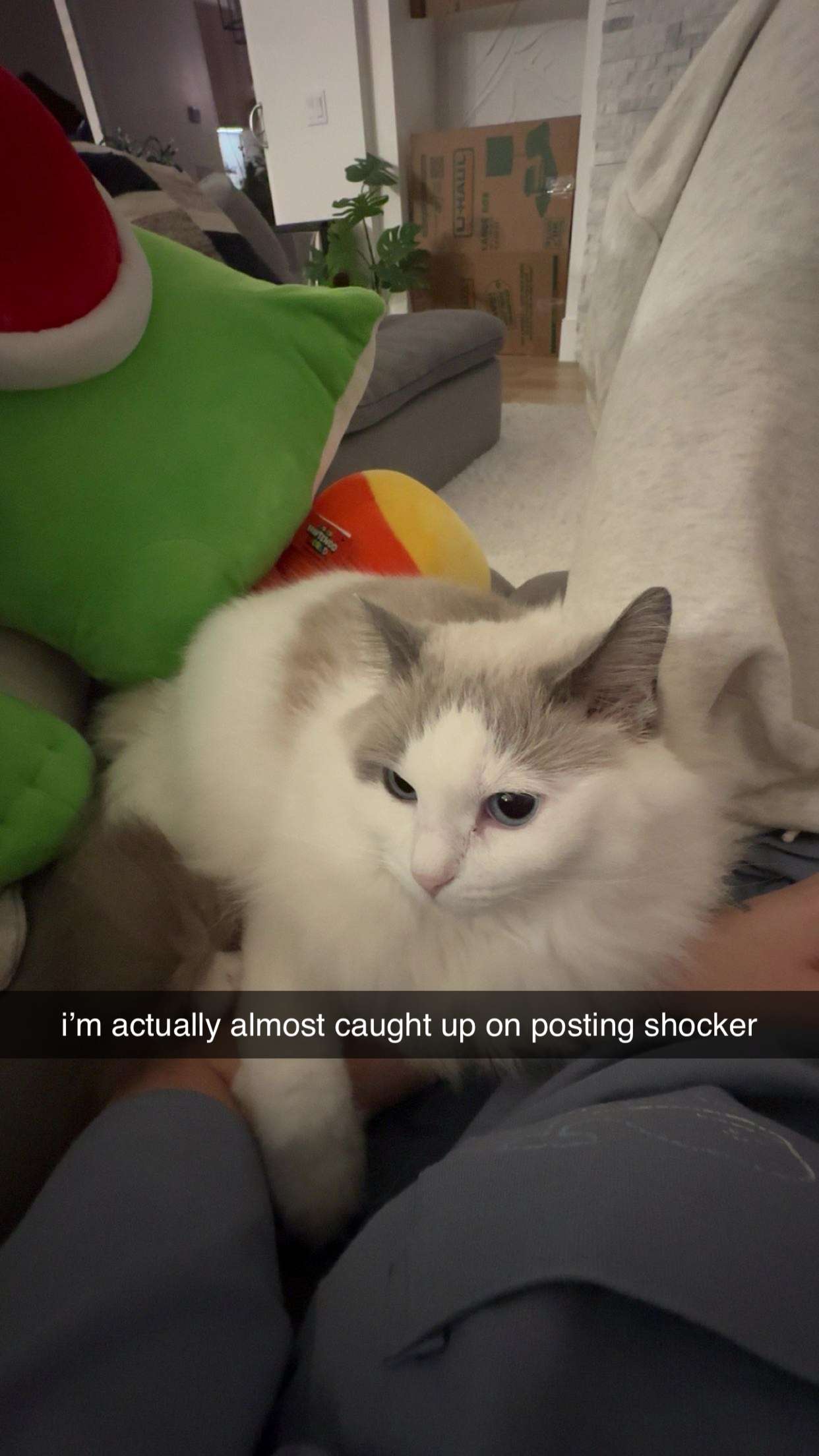 keab01 snapchat image archive image