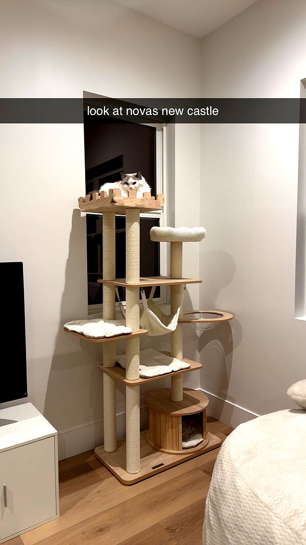 keab01 image ~ Altpins