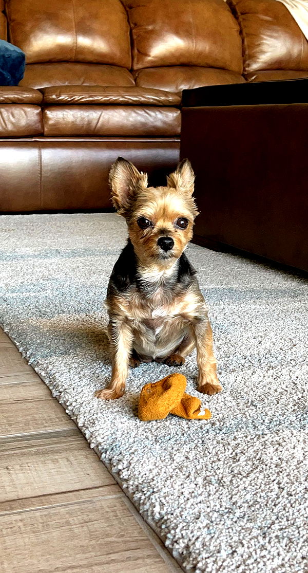 kendallwheelerr image ~ Altpins