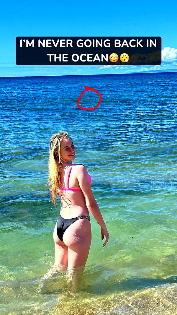 kendallwheelerr image ~ Altpins