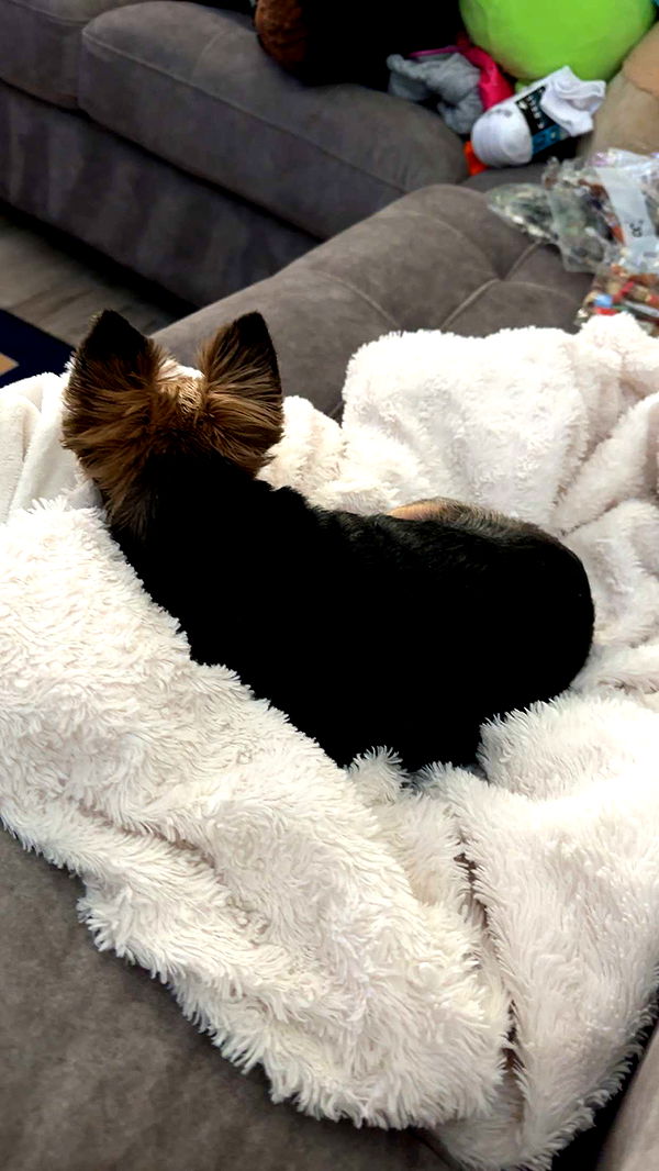 kendallwheelerr image ~ Altpins