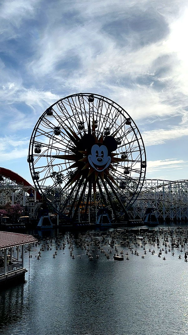 kendallwheelerr image ~ Altpins