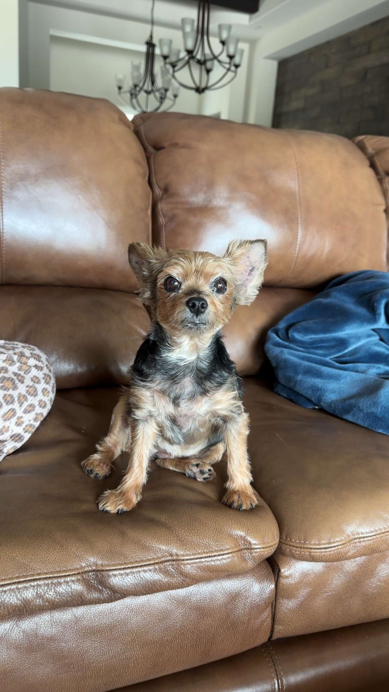 kendallwheelerr snapchat image archive image