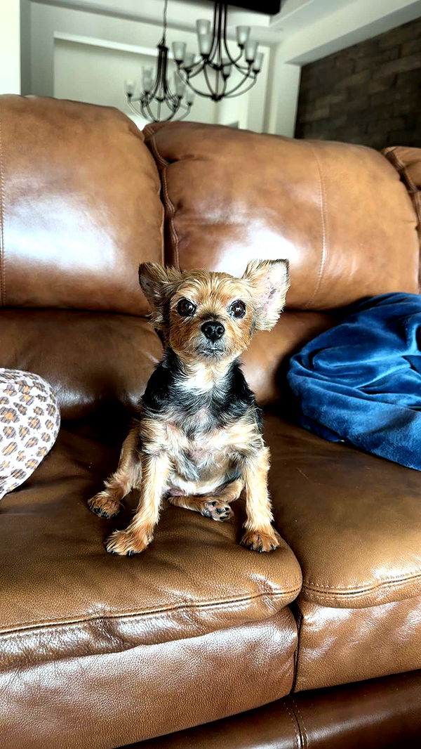 kendallwheelerr image ~ Altpins