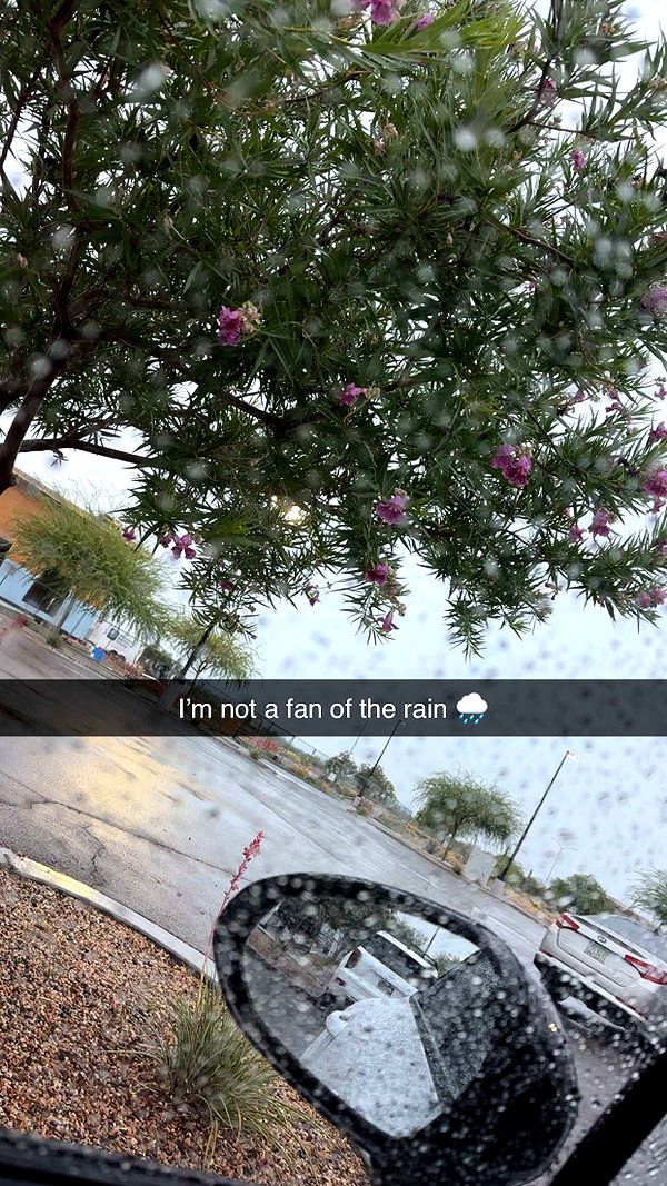 kendallwheelerr snapchat image archive image