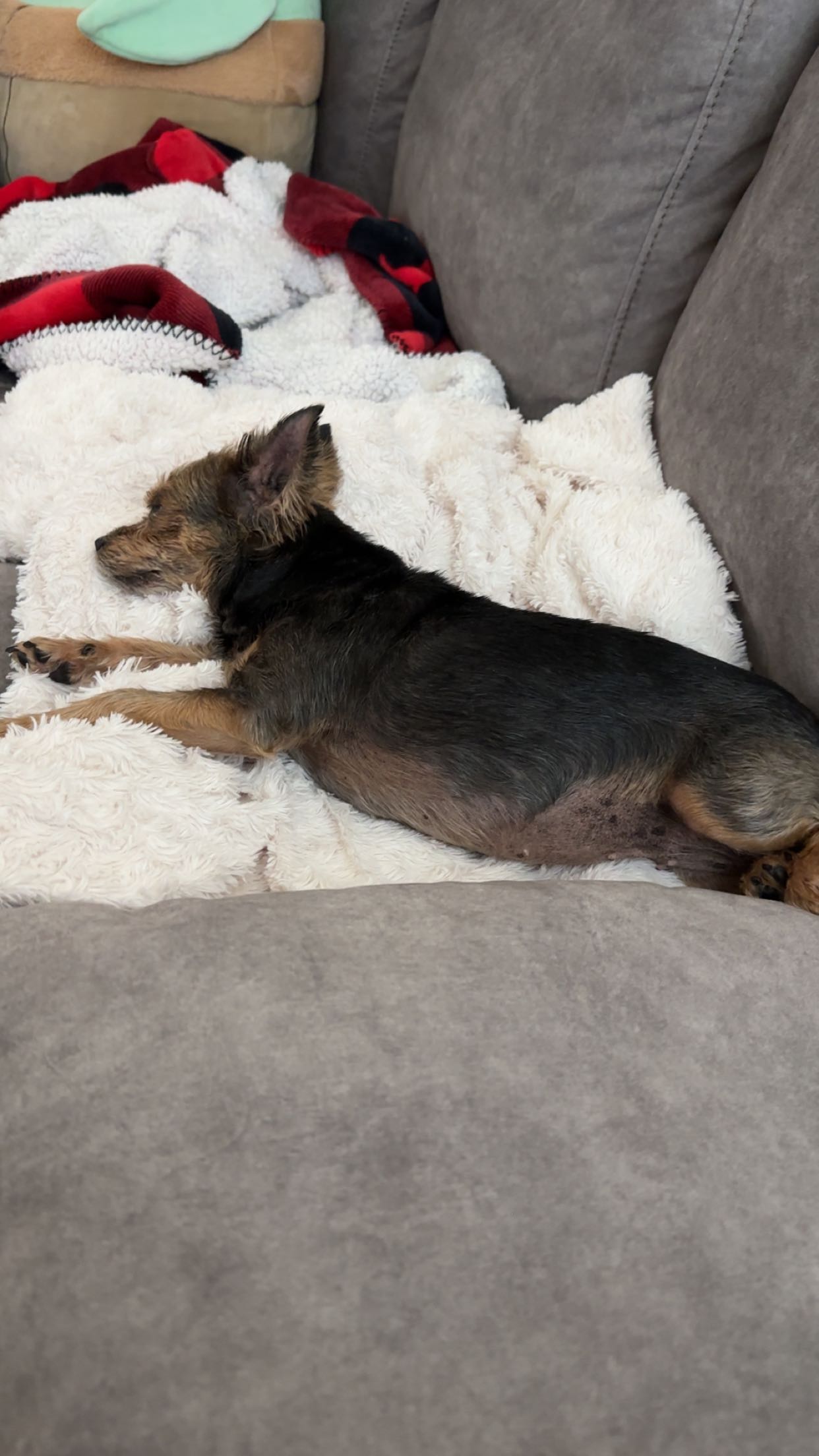 kendallwheelerr snapchat image archive image