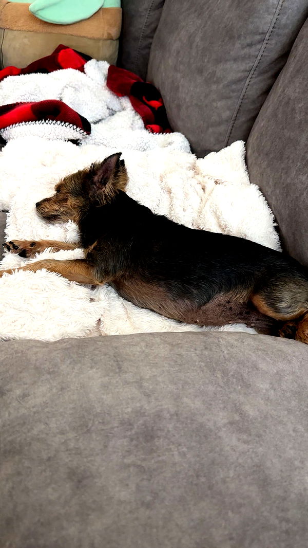 kendallwheelerr image ~ Altpins