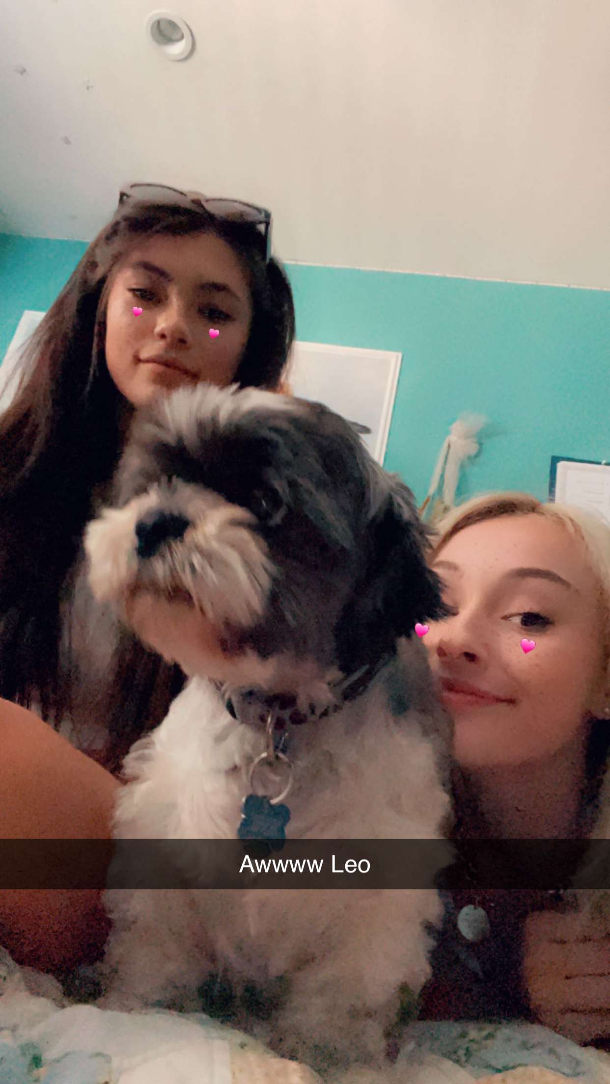 kendallwheelerr snapchat image archive image