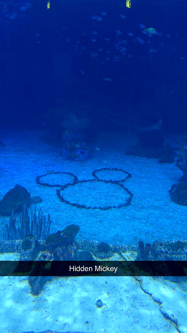 kendallwheelerr image ~ Altpins