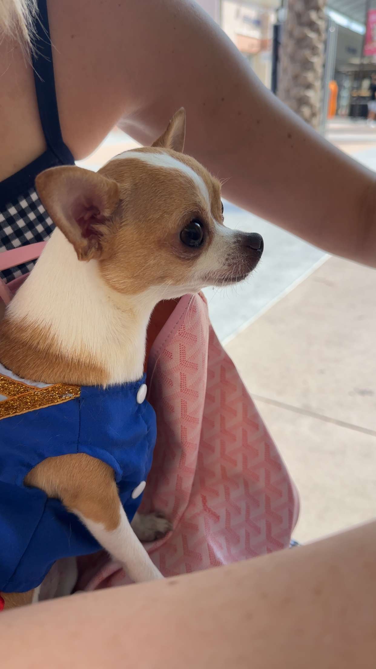 kendallwheelerr snapchat image archive image