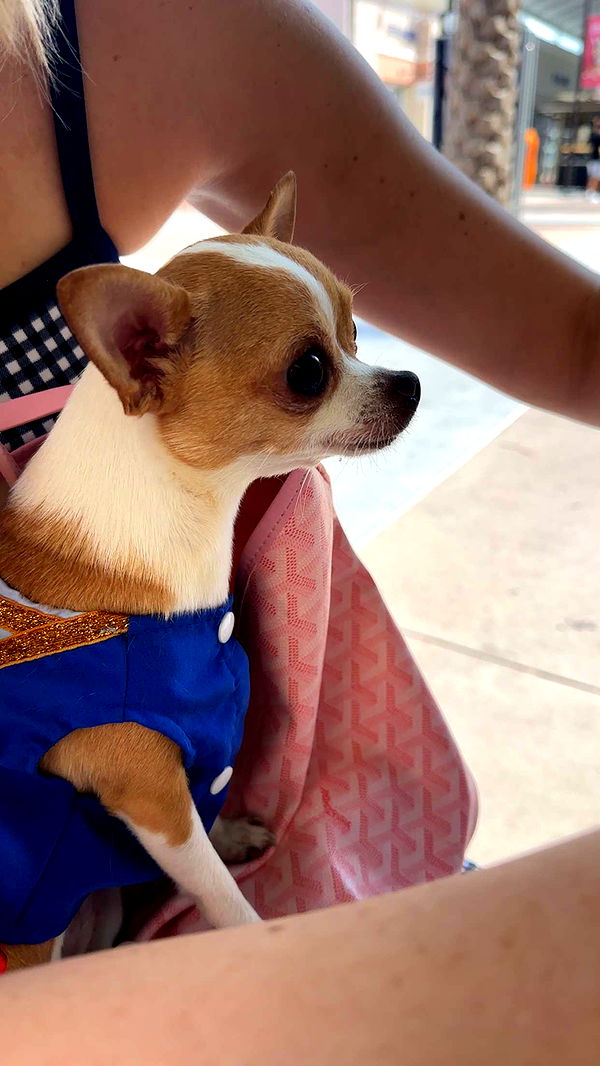 kendallwheelerr image ~ Altpins