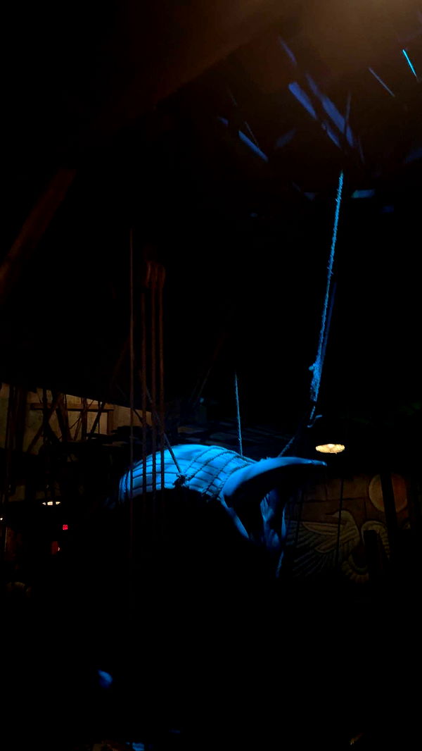 kendallwheelerr image ~ Altpins