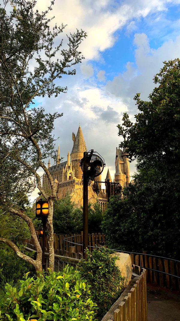 kendallwheelerr image ~ Altpins