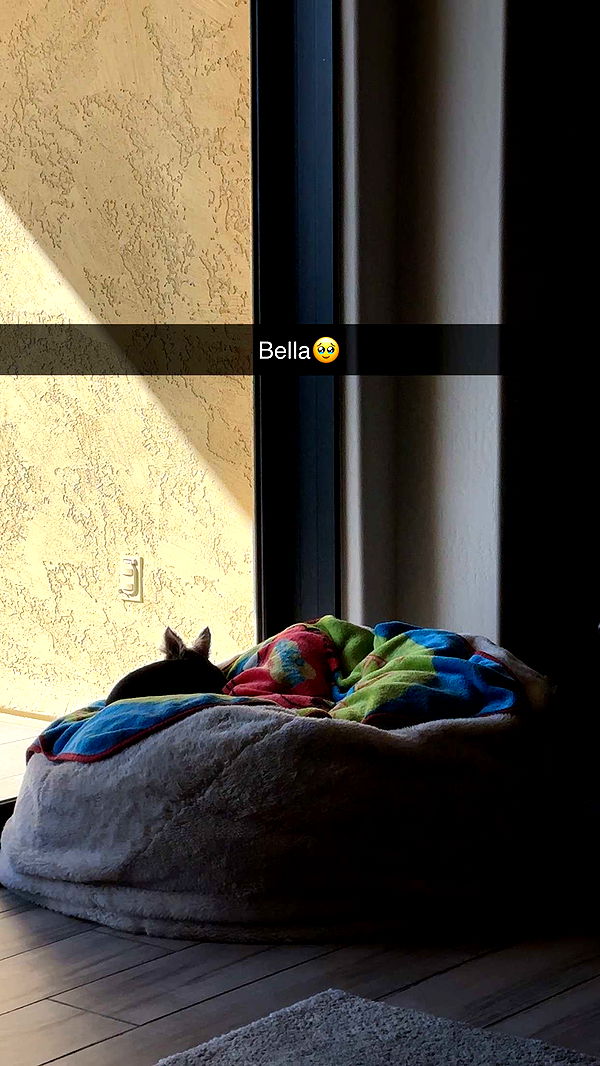 kendallwheelerr image ~ Altpins