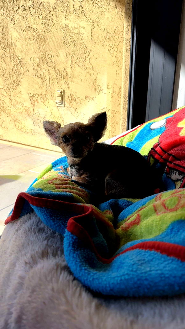 kendallwheelerr image ~ Altpins