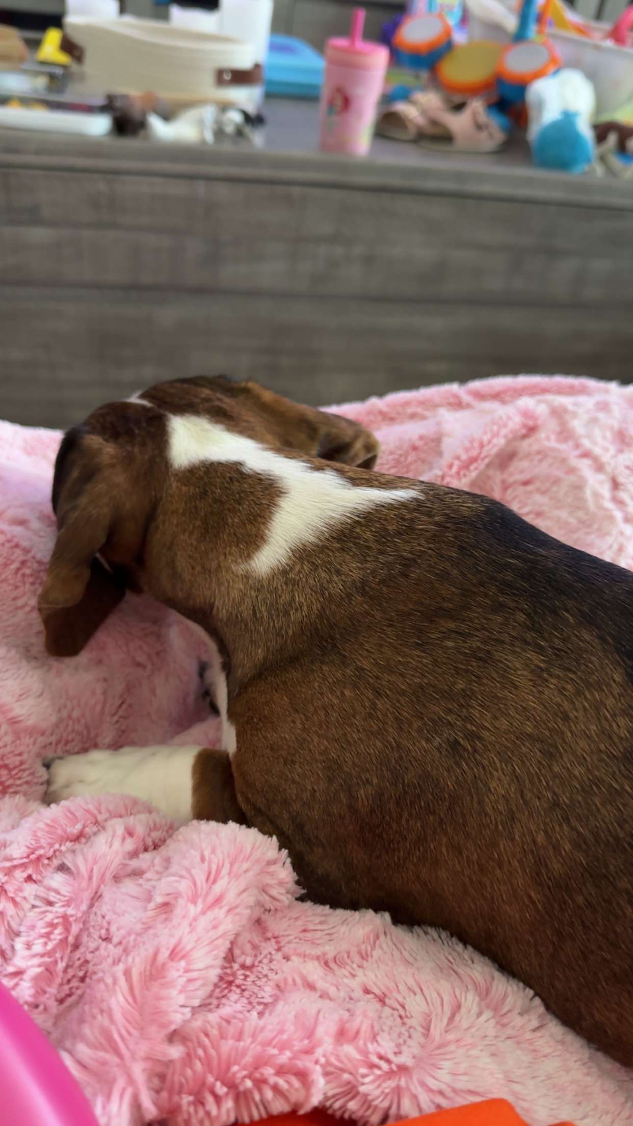 kendallwheelerr snapchat image archive image