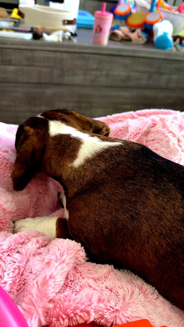 kendallwheelerr image ~ Altpins