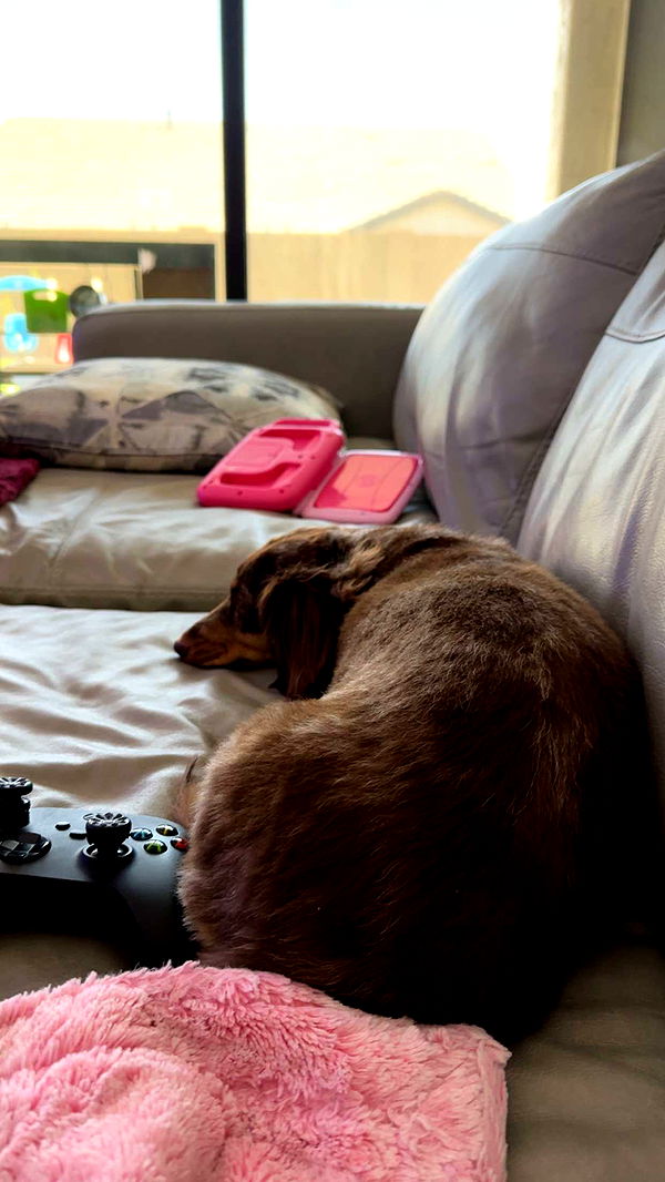 kendallwheelerr image ~ Altpins