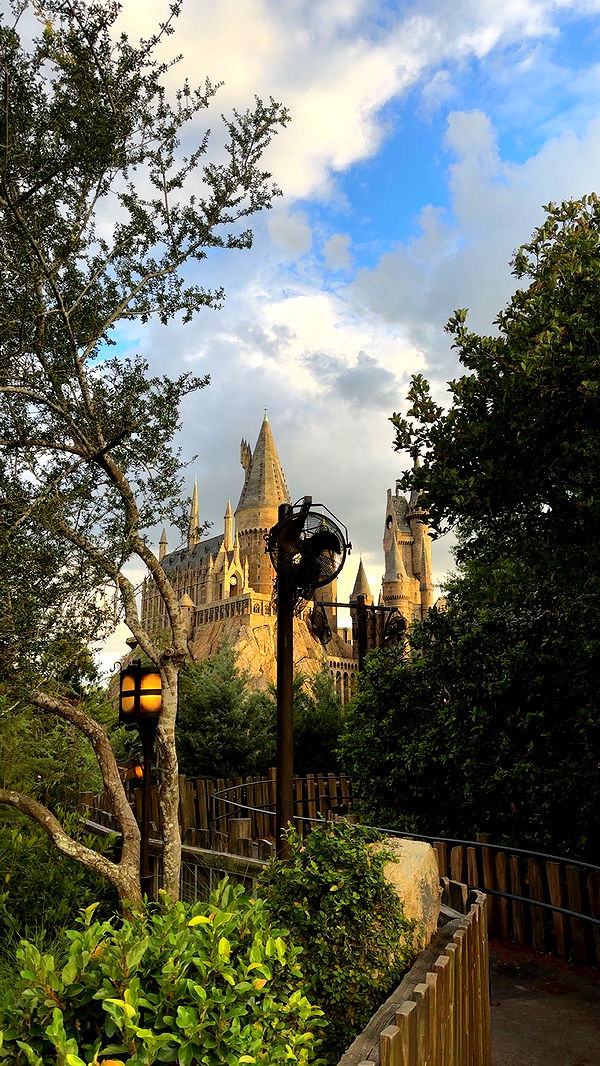 kendallwheelerr image ~ Altpins