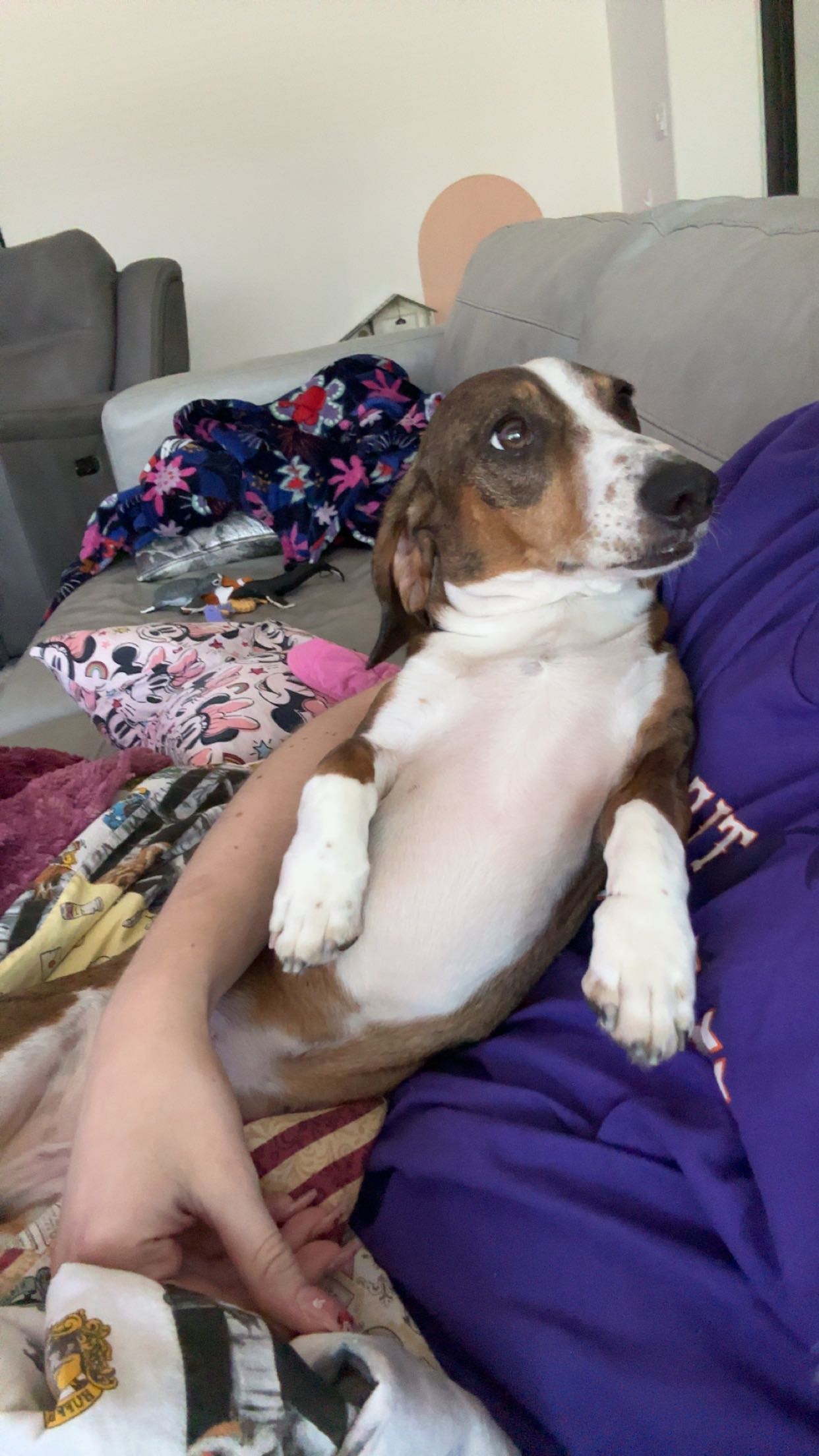 kendallwheelerr snapchat image archive image