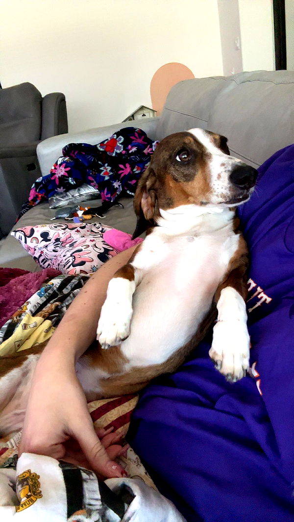 kendallwheelerr image ~ Altpins