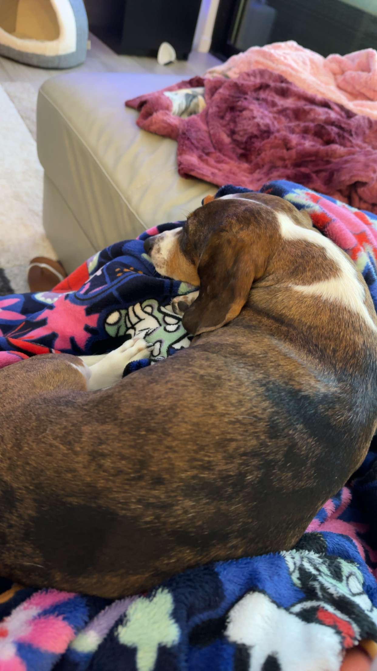 kendallwheelerr snapchat image archive image